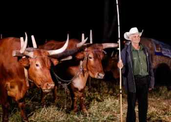 Trindade se torna capital simbólica do estado de Goiás no 7º dia da Romaria do Divino Pai Eterno