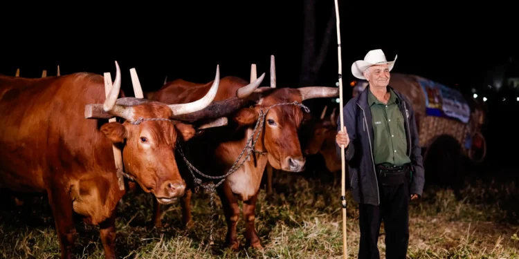 Trindade se torna capital simbólica do estado de Goiás no 7º dia da Romaria do Divino Pai Eterno