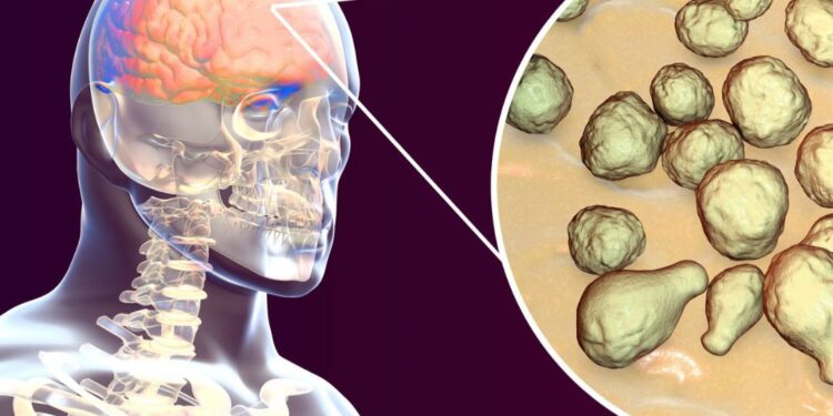 “Aumento de casos de meningite B acende atenção para vacinação e diagnóstico precoce”, alerta paramédica Priscila Currie, brasileira que atua no Reino Unido