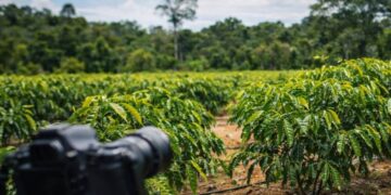AFB Agro