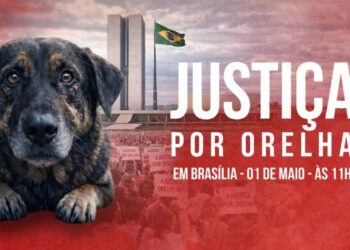 Manifestação em Brasília pressiona por CPI e justiça no caso do cão Orelha