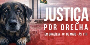 Manifestação em Brasília pressiona por CPI e justiça no caso do cão Orelha