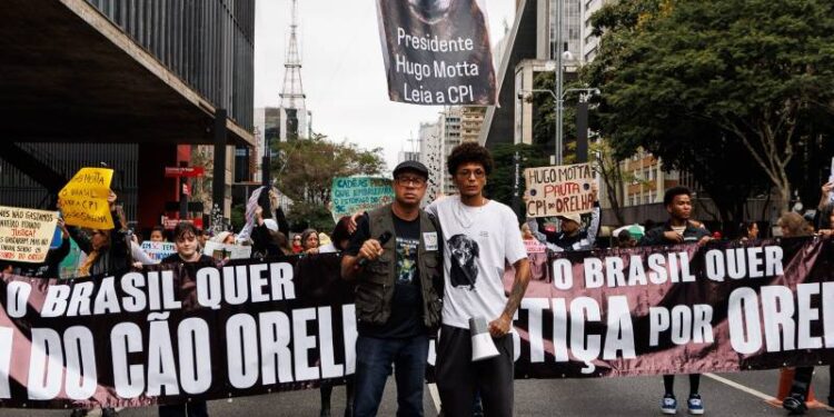 Manifestação na Avenida Paulista reúne centenas de pessoas em defesa dos animais e pede leis severas para maus tratos