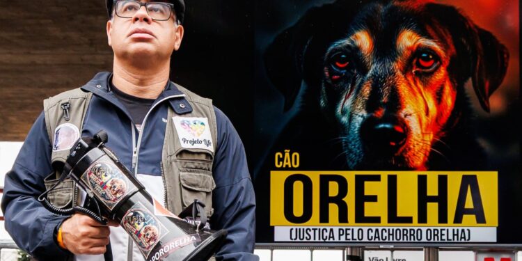 Proteção animal ganha força com mobilização em São Paulo e entrega de casinhas para cães comunitários em Jandaia do Sul (PR)